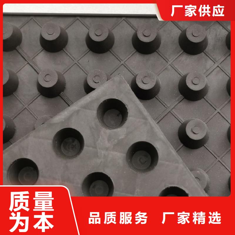 排水板植草格口碑好實(shí)力強(qiáng)