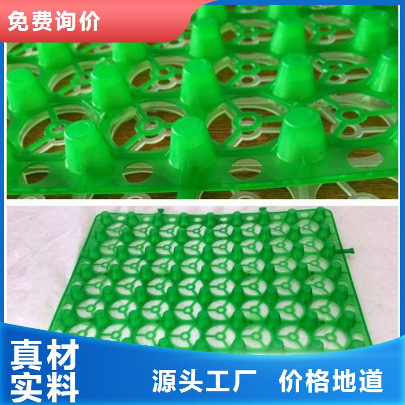 排水板,化糞池水泥有口皆碑