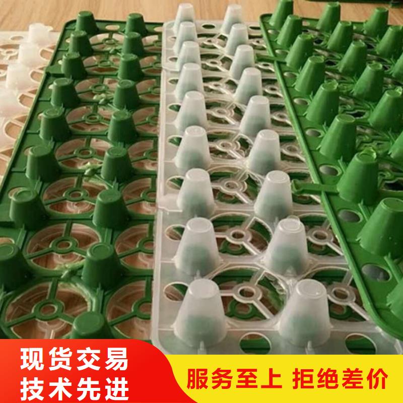排水板_植草格精心選材