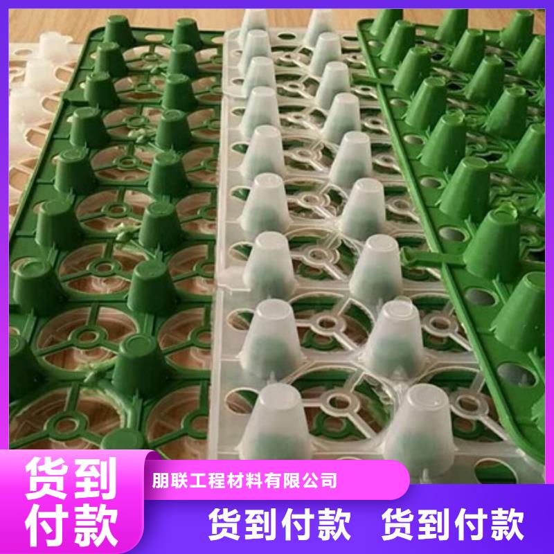 排水板-水泥化糞池支持批發(fā)零售