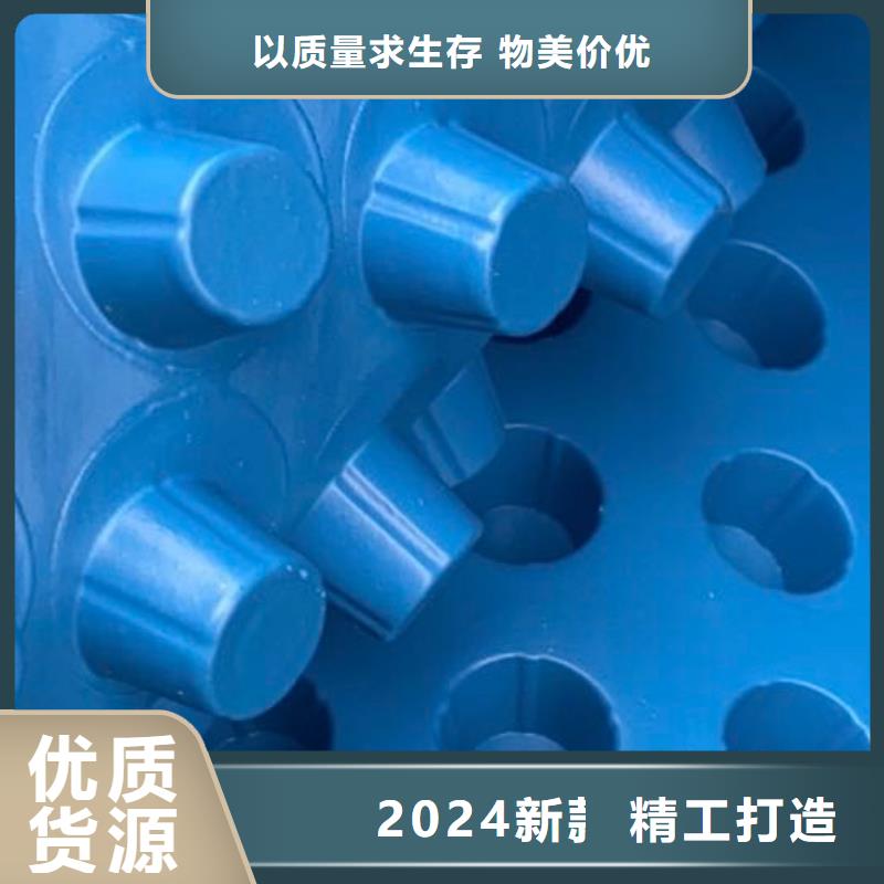 虹吸排水板-工厂价2025