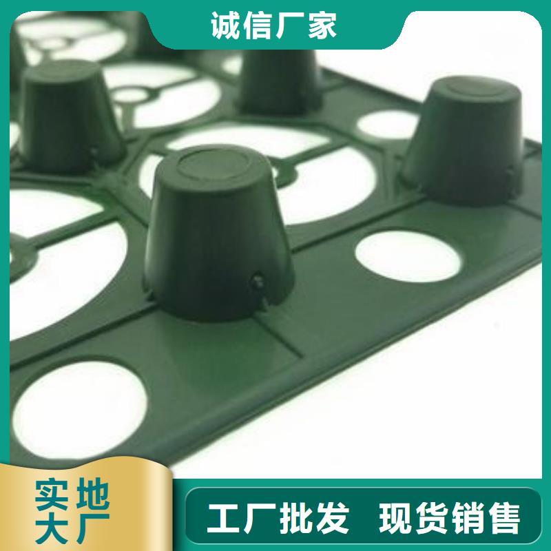 塑料排水板近期行情