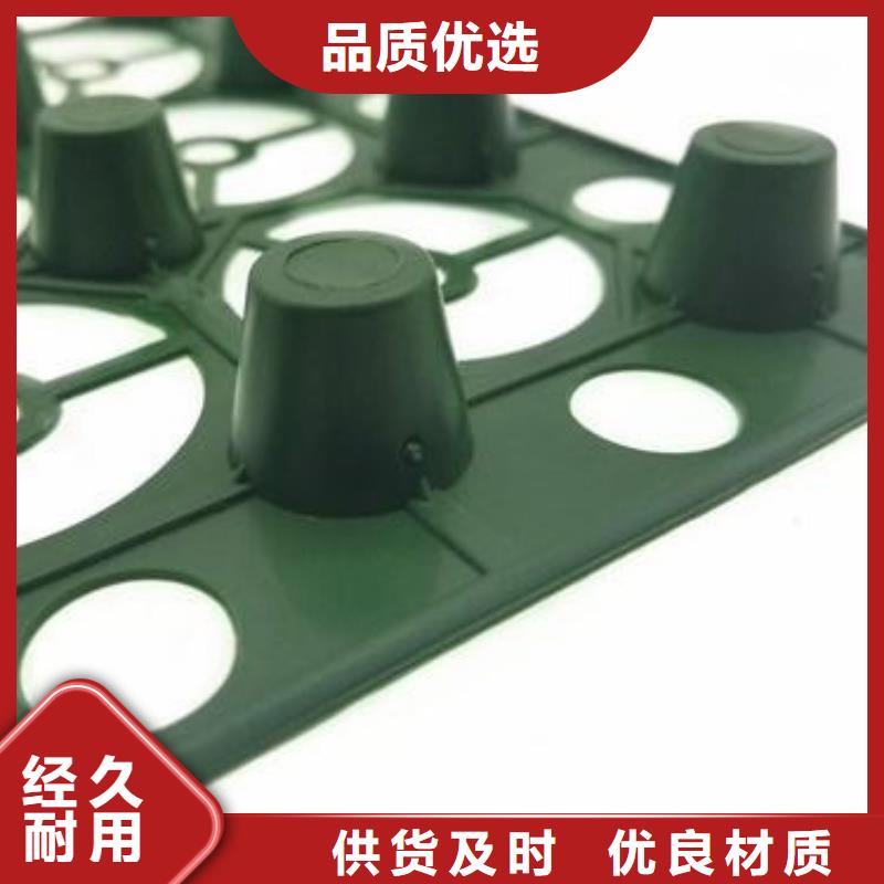 排水板植草格口碑好实力强