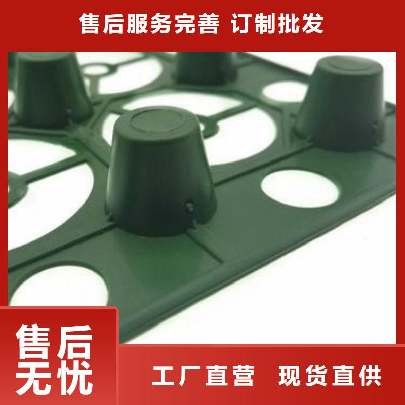排水板植草格口碑好實(shí)力強(qiáng)