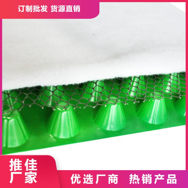排水板水泥化糞池款式新穎