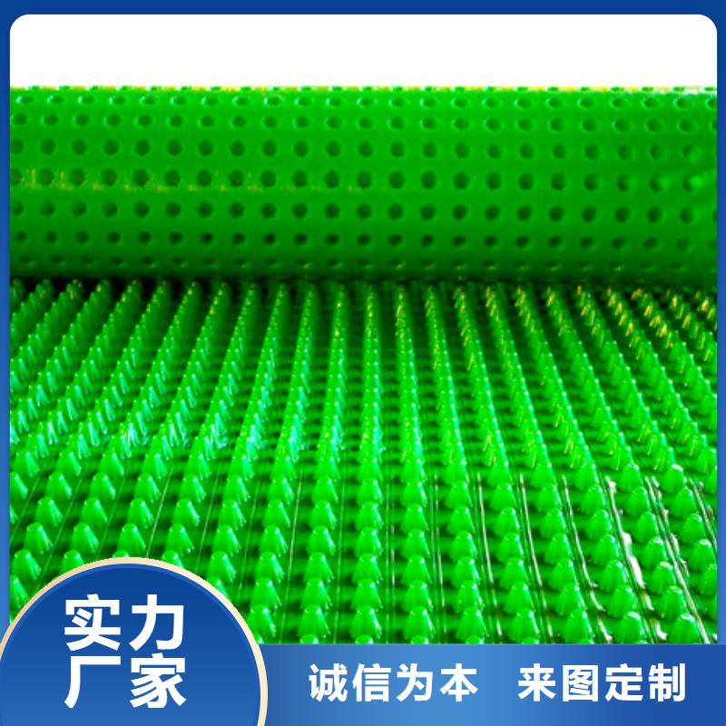 蓄排水板新聞2025