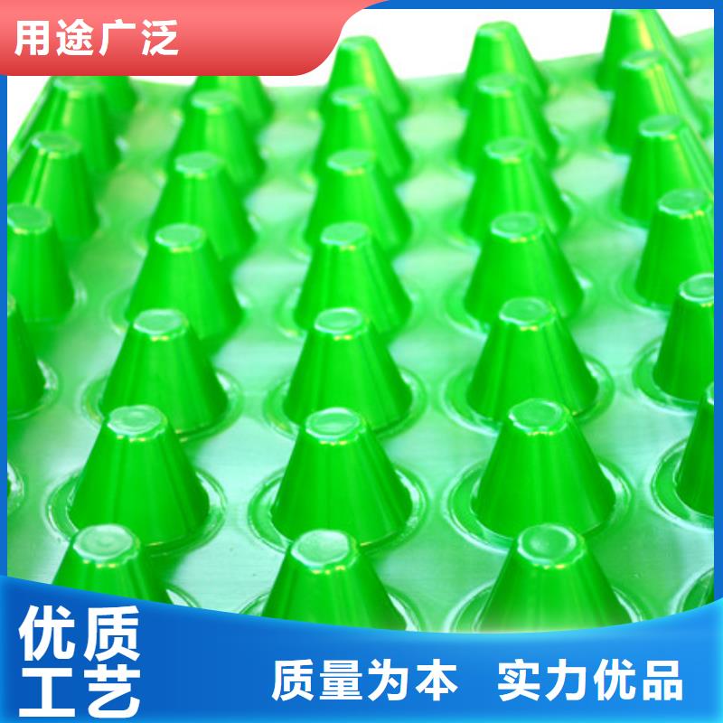 排水板价格公道合理