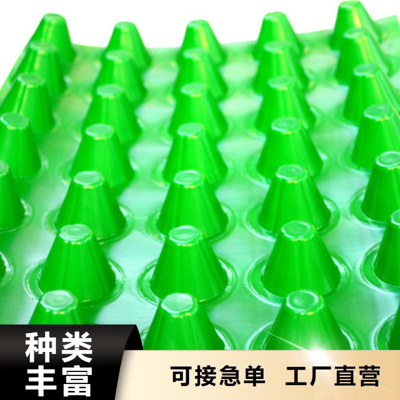 蓄排水板新聞2025