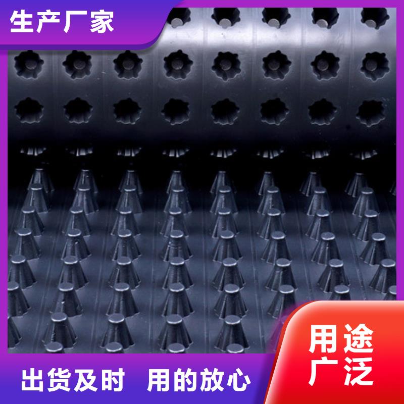 蓄排水板新聞2025