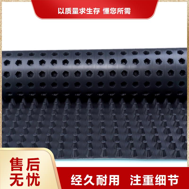 蓄排水板新聞2025