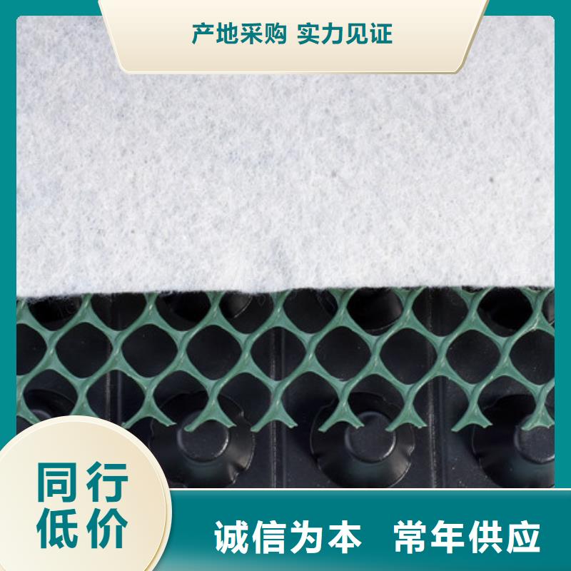 排水板植草格選擇我們沒錯(cuò)