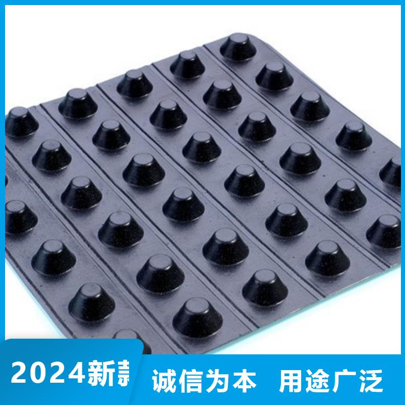 排水板植草格選擇我們沒錯(cuò)