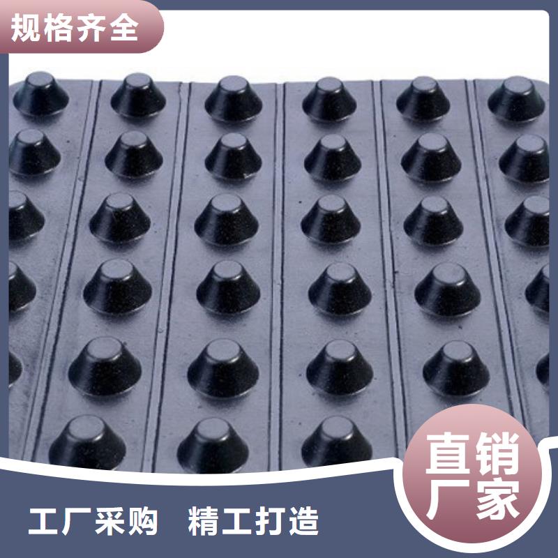 排水板防護(hù)虹吸排水收集系統(tǒng)專業(yè)的生產(chǎn)廠家