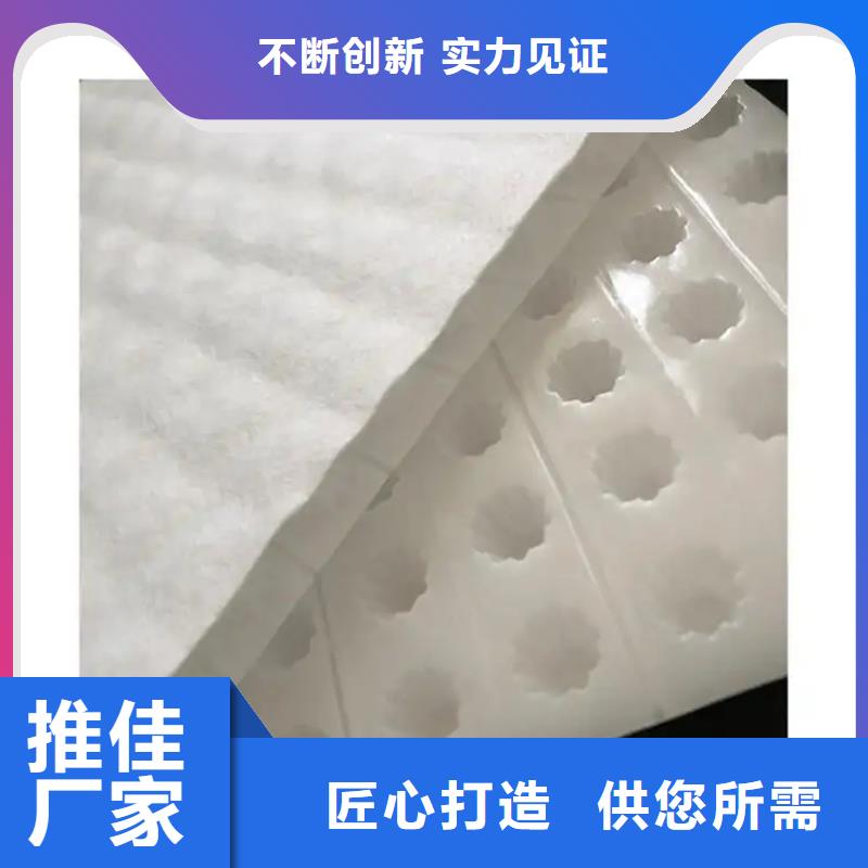 虹吸排水水泥化粪池出货快