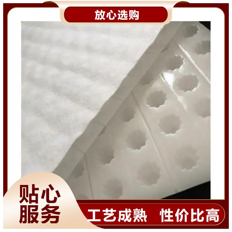 虹吸排水植草格嚴格把控質(zhì)量