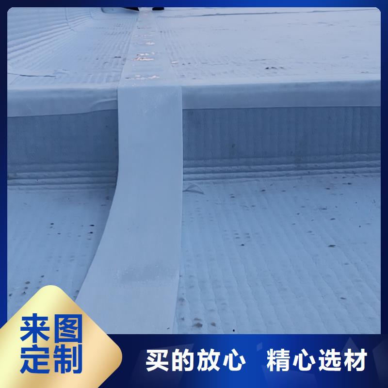 虹吸排水-防护虹吸排水收集系统工厂价格