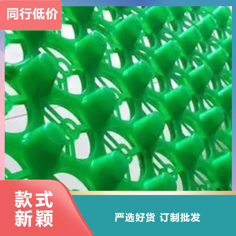 虹吸排水排水板支持加工定制