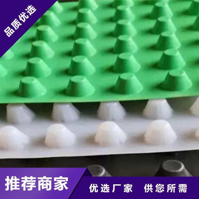 虹吸排水-植草格實(shí)力廠家直銷(xiāo)