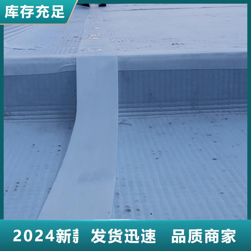 虹吸排水植草格選擇大廠家省事省心