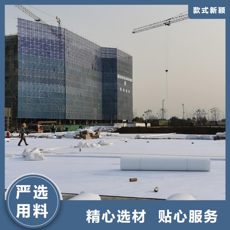 虹吸排水水泥化粪池出货快