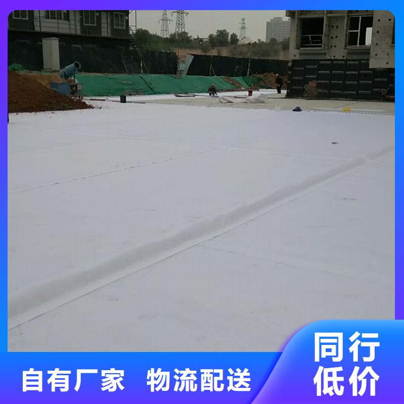 虹吸排水水泥化粪池源头厂源头货