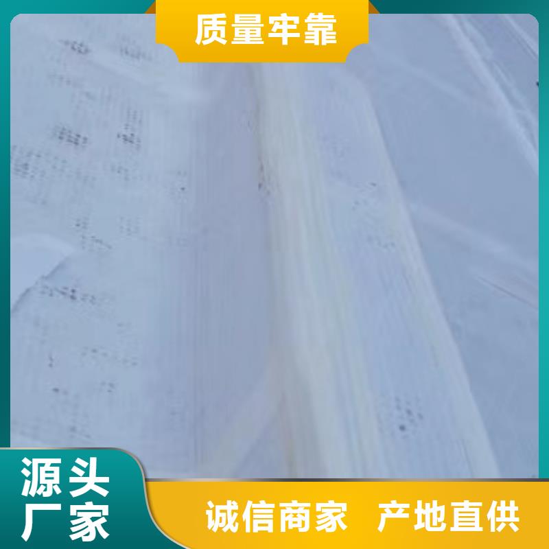 虹吸排水水泥化粪池源头厂源头货