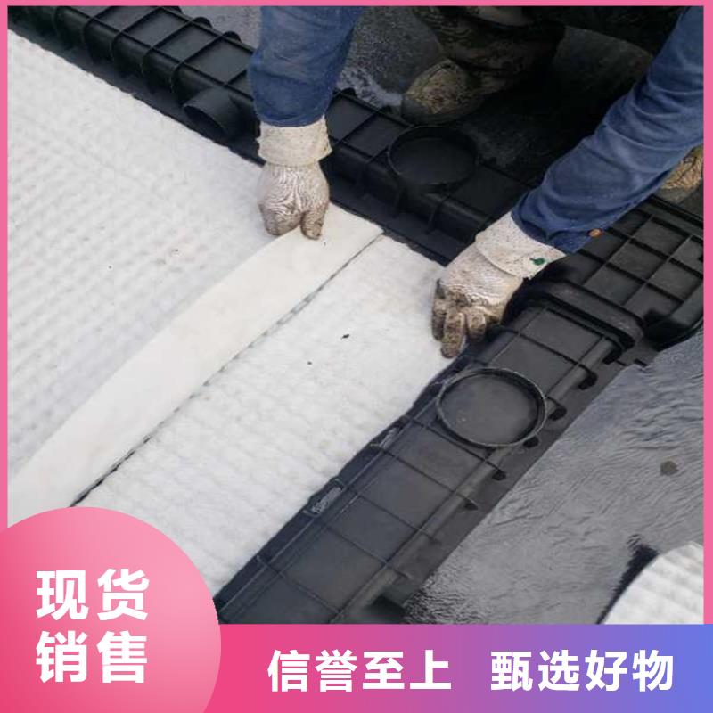 虹吸排水-水泥化糞池廠家貨源穩(wěn)定