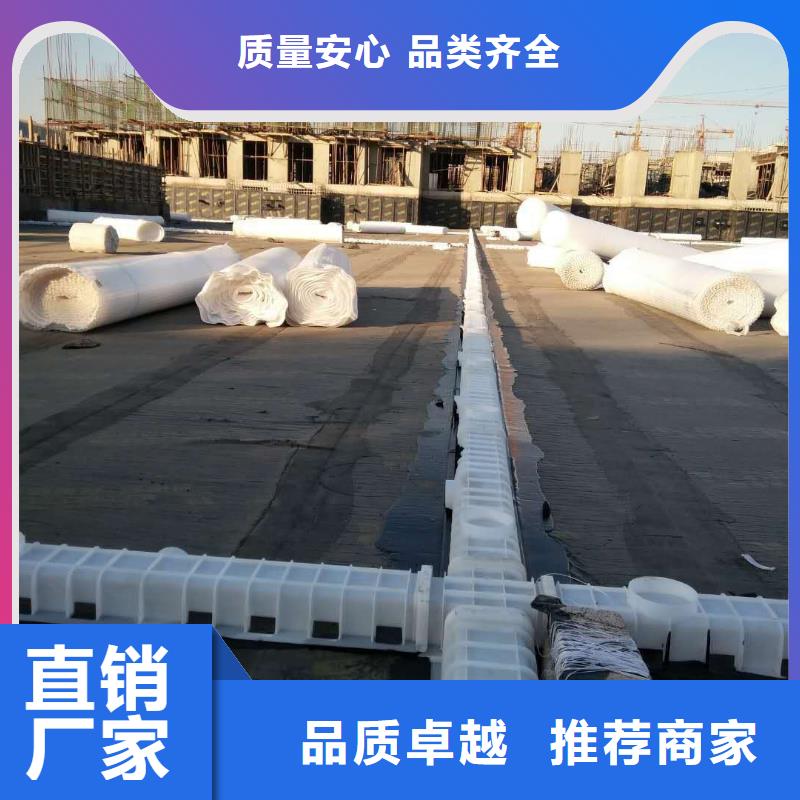 虹吸排水-植草格实力厂家直销