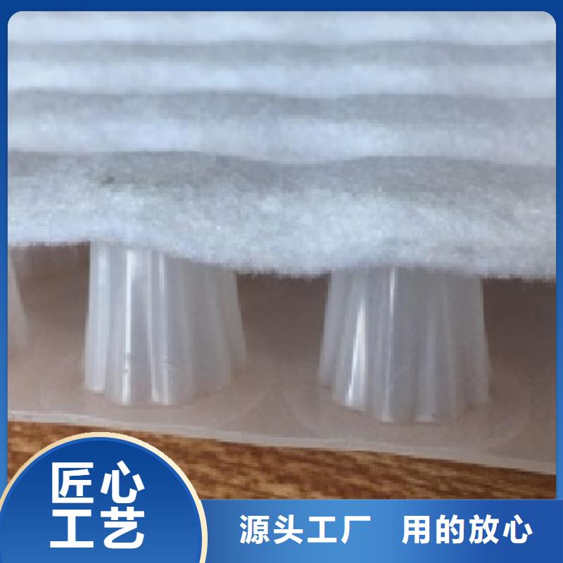 虹吸排水植草格嚴格把控質(zhì)量