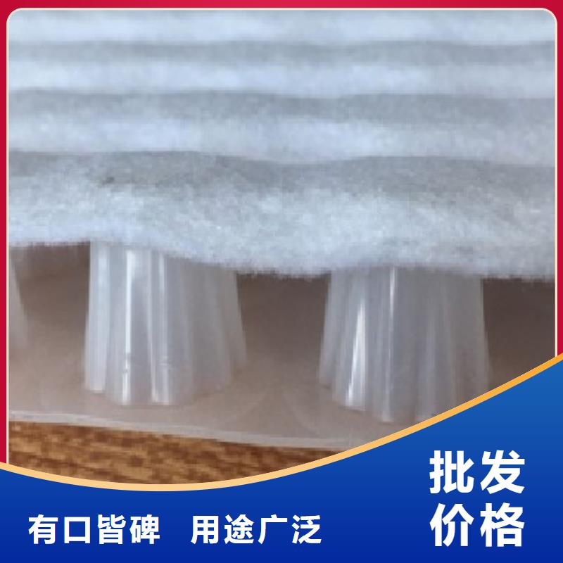 虹吸排水植草格工廠現(xiàn)貨供應(yīng)