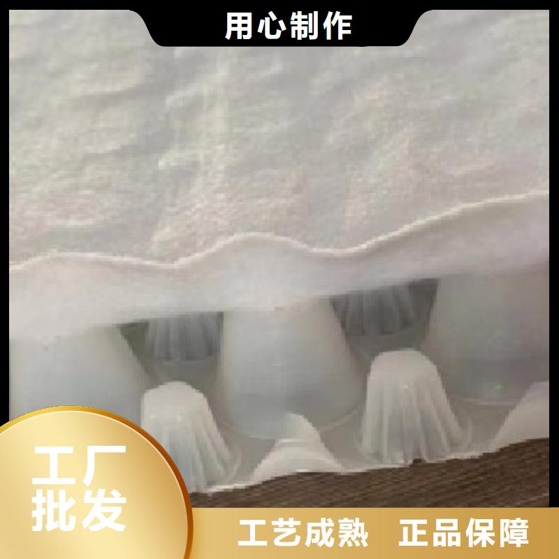 虹吸排水植草格工廠現(xiàn)貨供應(yīng)