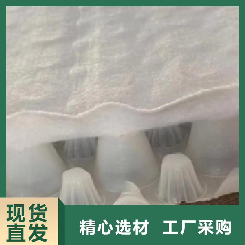 虹吸排水植草格嚴(yán)格把控質(zhì)量