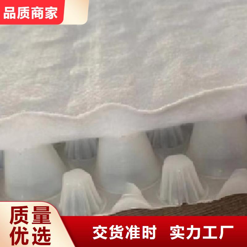 虹吸排水,植草格閃電發(fā)貨