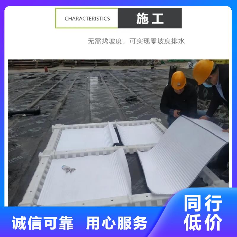 虹吸排水植草格工廠現(xiàn)貨供應(yīng)