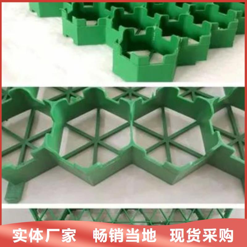 植草格-化粪池水泥厂家货源稳定