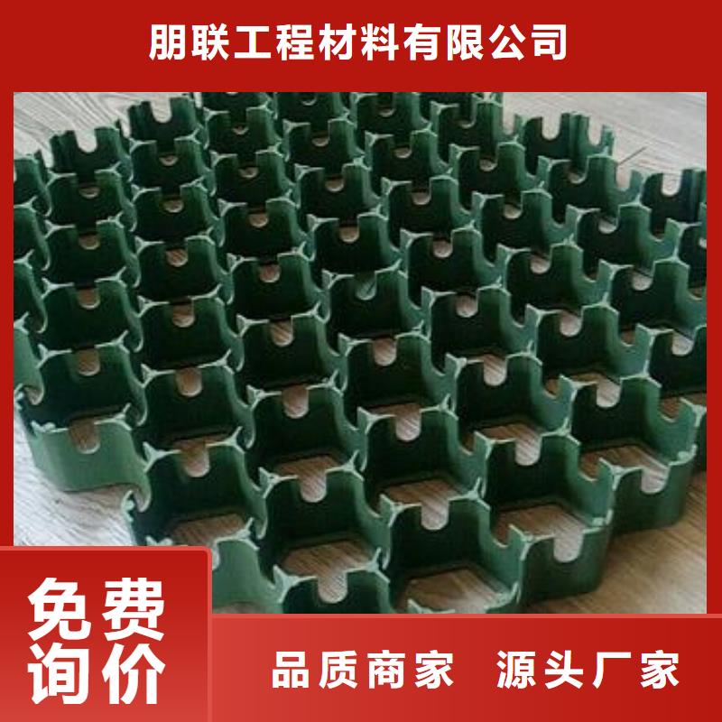植草格_植草格廠家經(jīng)驗(yàn)豐富