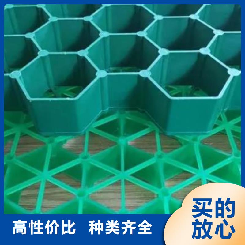 植草格水泥化粪池品质有保障