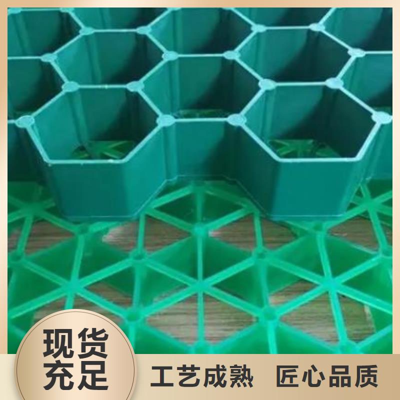 植草格植草格甄選好廠家