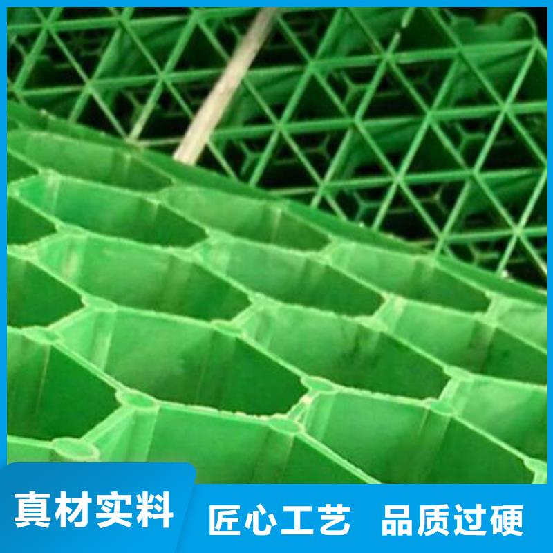 植草格化粪池水泥就近发货