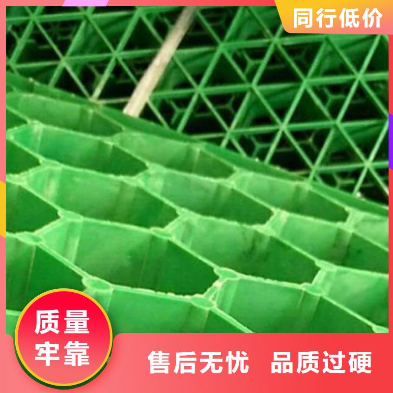 植草格排水板實地大廠
