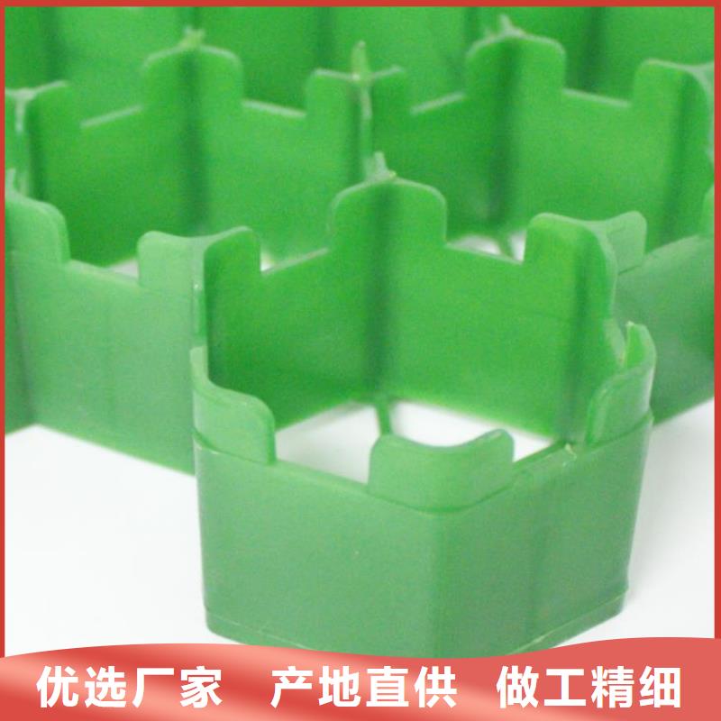 植草格_防护虹吸排水收集系统实力派厂家