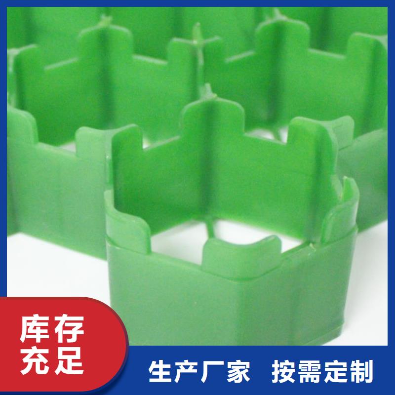 植草格植草格從廠家買售后有保障