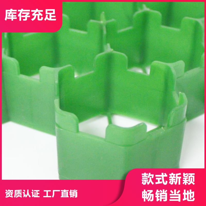 植草格_植草格廠家經(jīng)驗(yàn)豐富