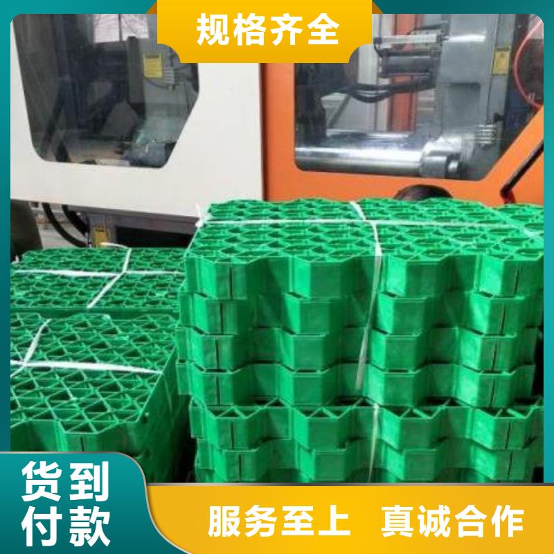 植草格規(guī)格全@廠家銷售