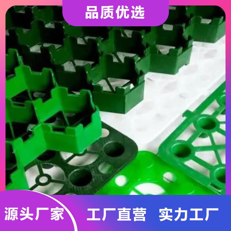 植草格水泥化糞池行業(yè)優(yōu)選