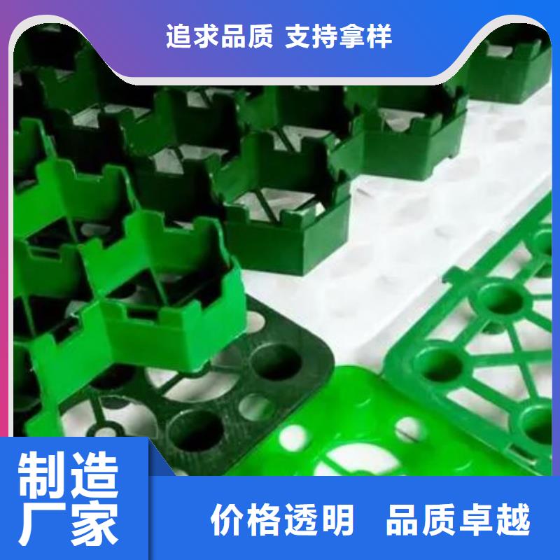塑料植草格哪里有
