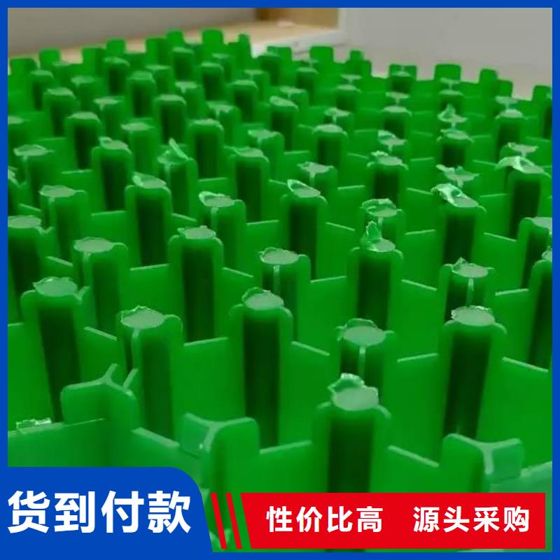 植草格,防護(hù)虹吸排水收集系統(tǒng)海量庫存