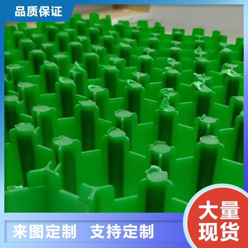 植草格排水板實地大廠