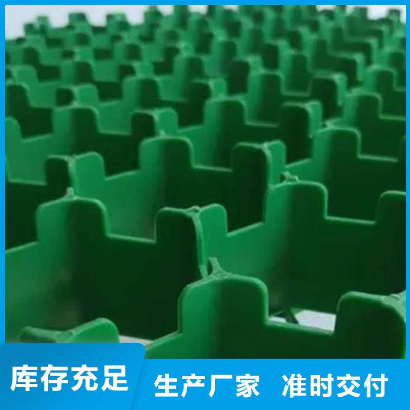 植草格_防护虹吸排水收集系统实力派厂家