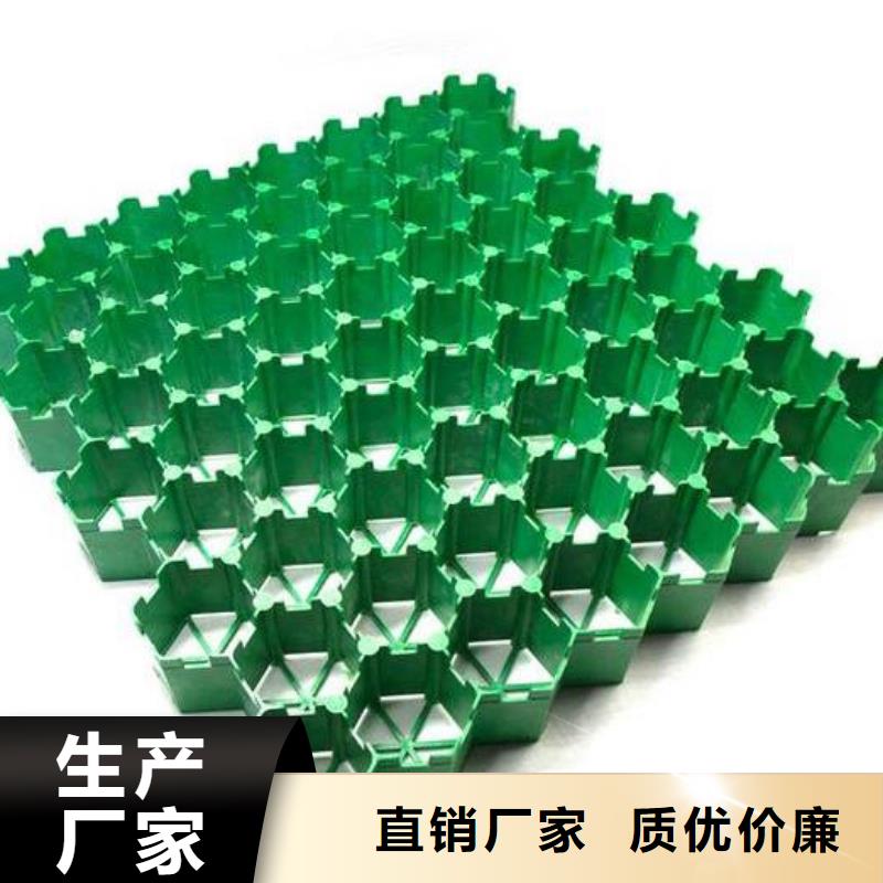 植草格植草格設備齊全支持定制